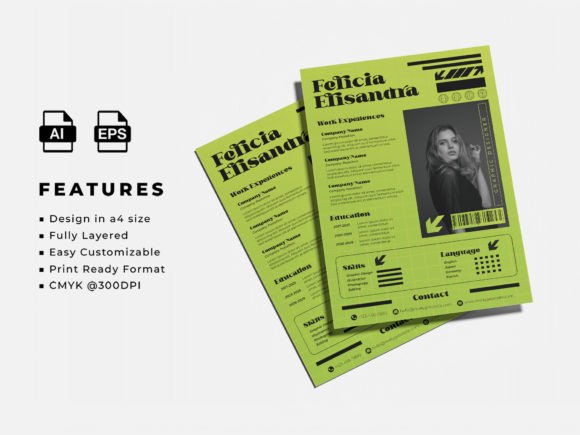 Download Resume and CV Template - Premium Resources